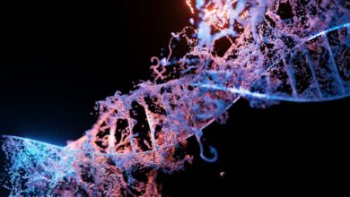 Peptide