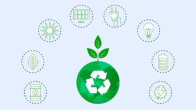 Eco-Friendly Business Ideas for New Jersey Entrepreneurs