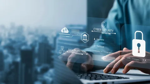 Why Security is Critical in Choosing Ecommerce Software?