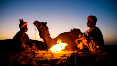A Traveller’s Guide to Camel Mazaynas: Experiencing Sweihan and Razeen Mazayna First-hand