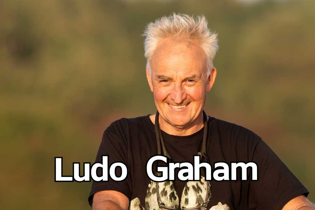 Ludo Graham