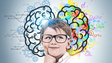 Brain