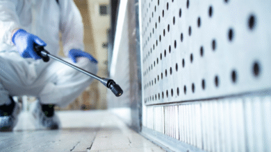 Can You Really Keep Rodents Away Without Harmful Chemicals? The New Era of Rodent Control