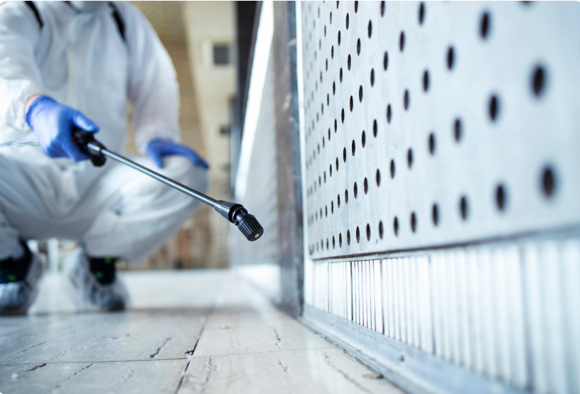 Can You Really Keep Rodents Away Without Harmful Chemicals? The New Era of Rodent Control