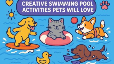 Creative Swimming Pool Activities Pets Will Love