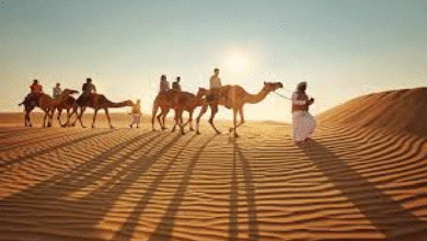 Camel Riding in Dubai: The Authentic Desert Safari Experience