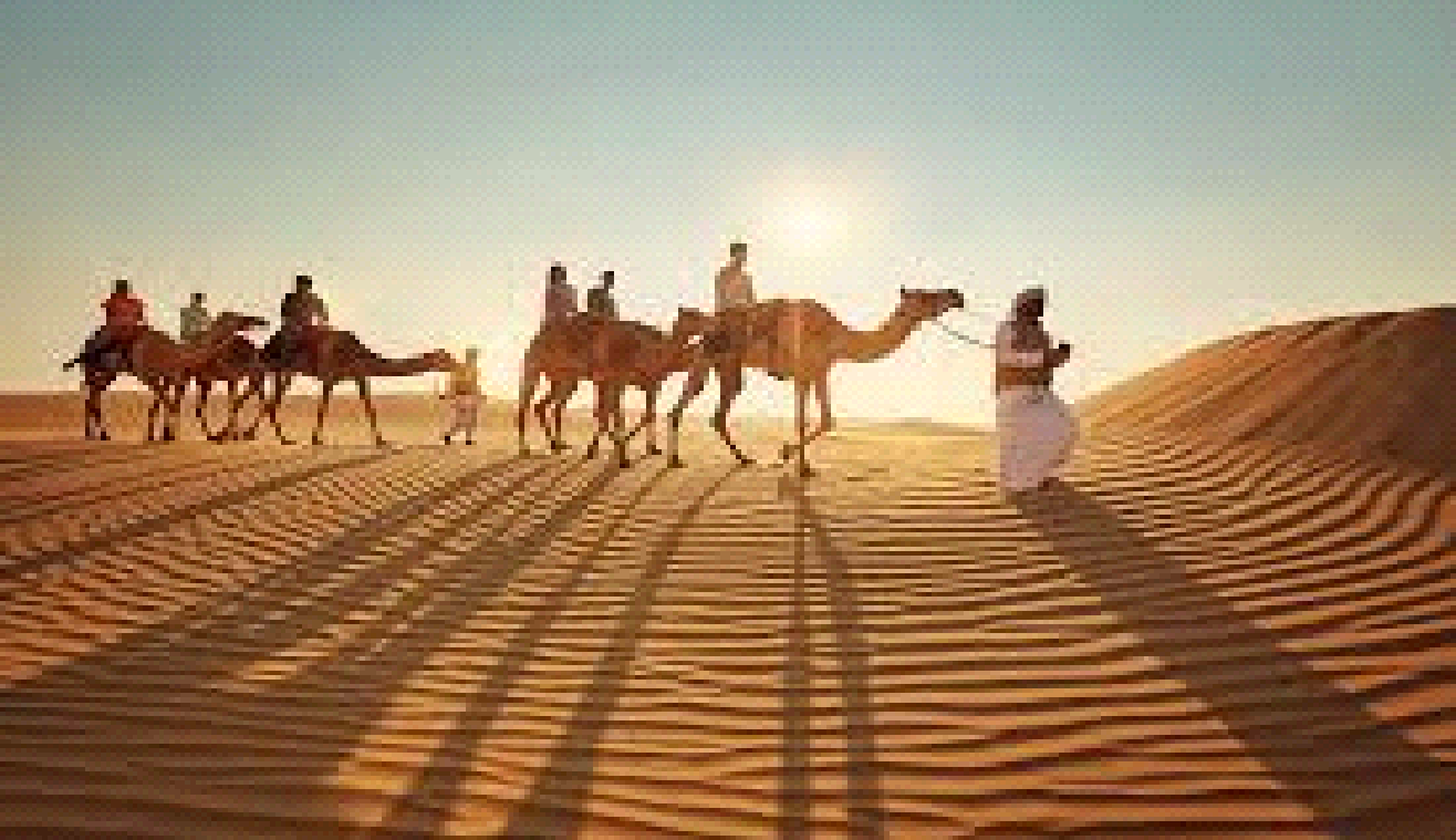 Camel Riding in Dubai: The Authentic Desert Safari Experience