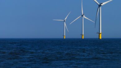 From Local to Global Transforming UK Operations with Offshore Professionals