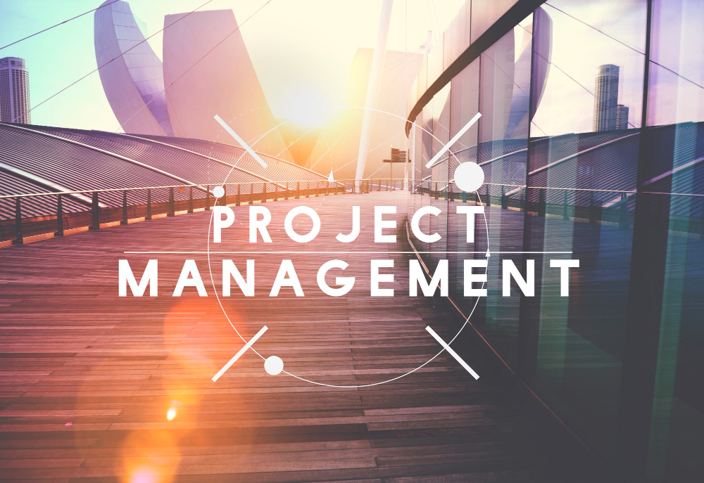 The Career Power of Project Management