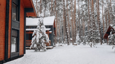 5 Luxury Holiday Lodges For Sale That Will Elevate Your Vacation Experience