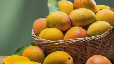 Alphonso Mangoes