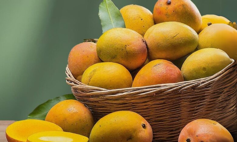 Alphonso Mangoes