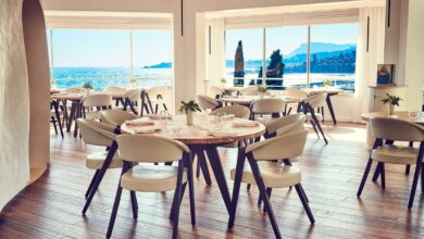 Restaurant Chairs