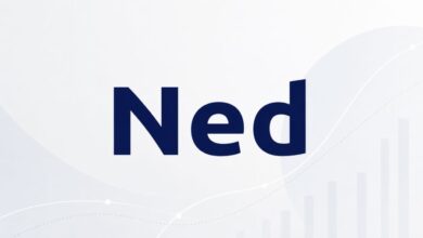 Ned startup fintech platform for small-business lenders