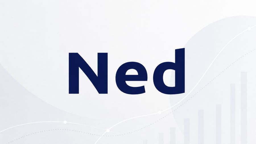 Ned startup fintech platform for small-business lenders