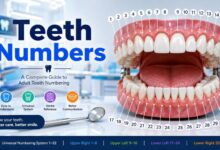 Teeth Numbers